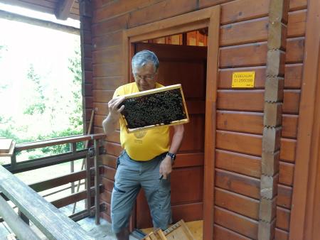 Dan odprtih vrat v Čebelarskem centru Luče